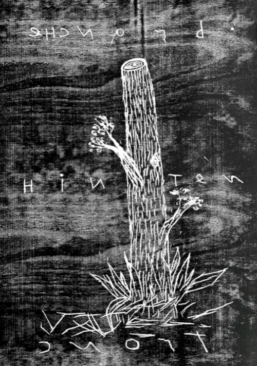 Image description