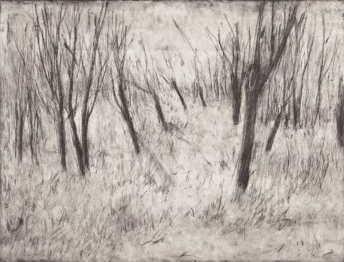 Image description